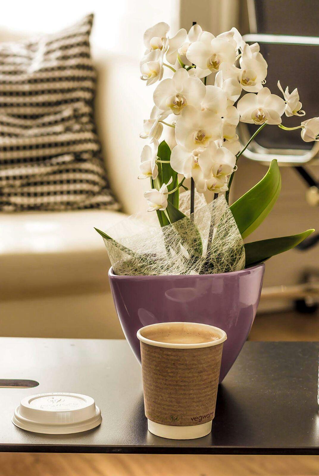 Belgravia Pensiune 4*