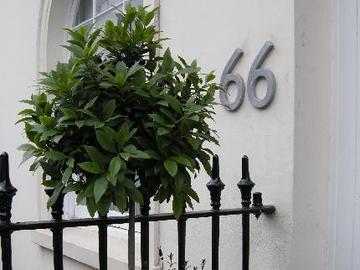 Belgravia Pensiune 4*